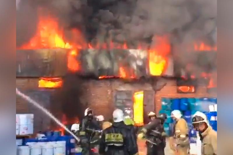 الماتىدا قويما ورتەنىپ جاتىر