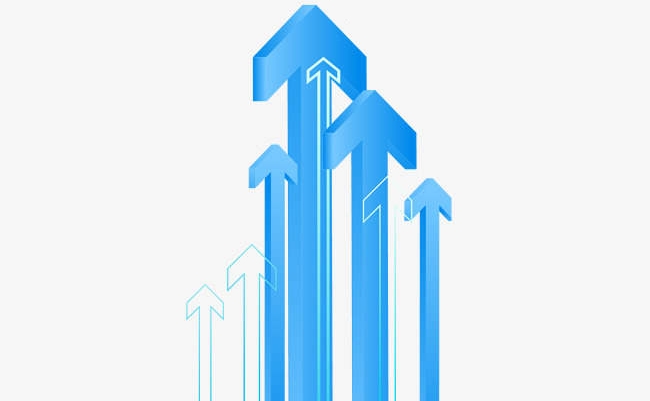 نەگىزگى باعىتتار ايقىندالدى