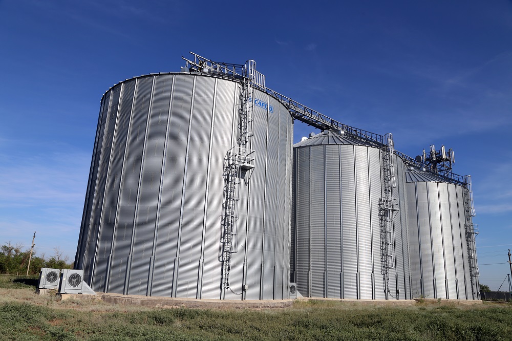 «Crown باتىس» «تۇلپارعا» اينالادى