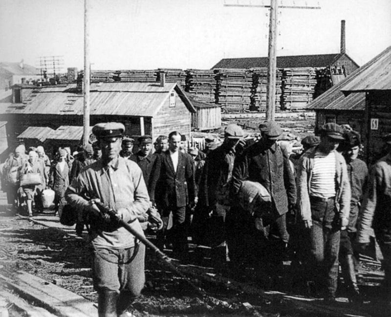 قىزىل قىرعىن قۇرباندارى