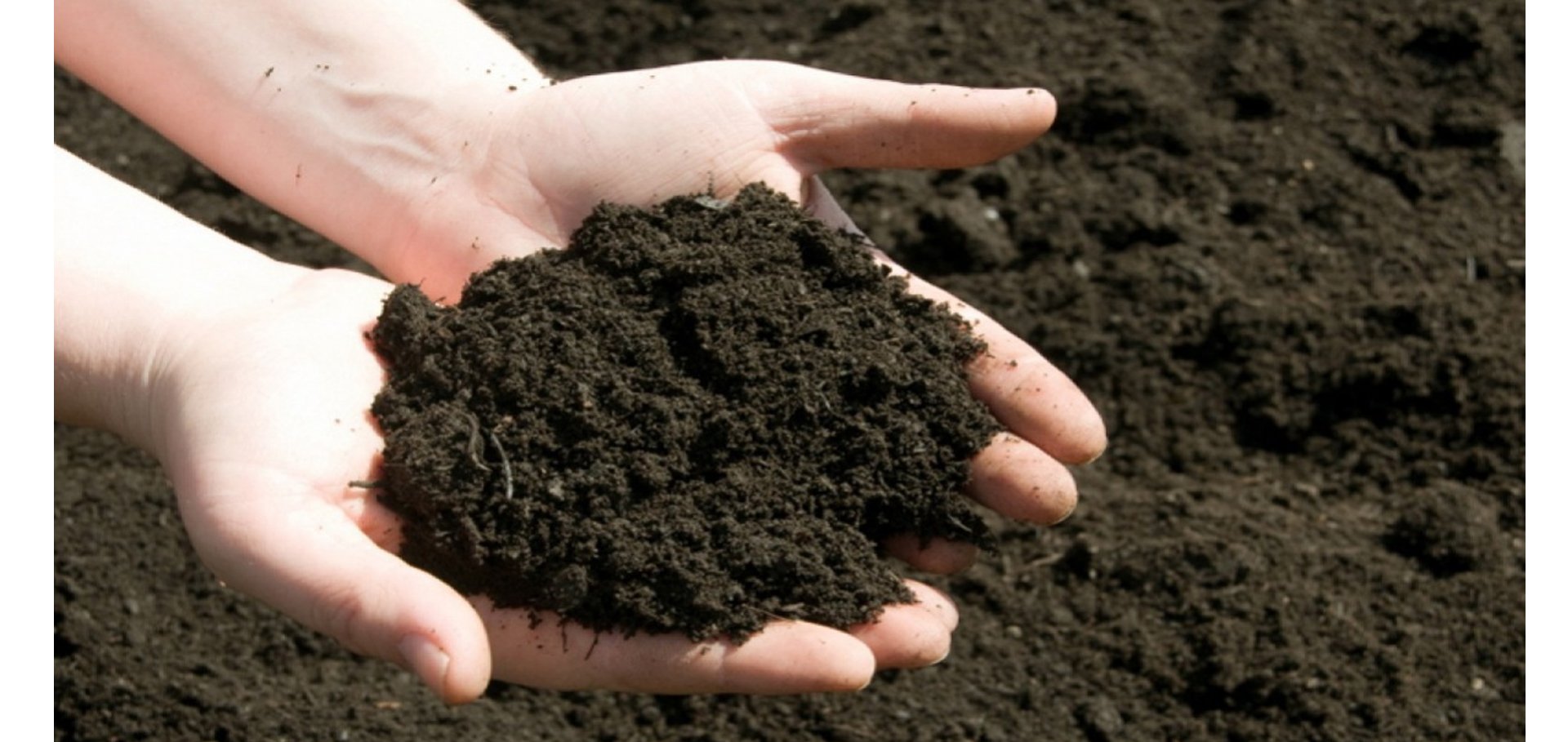 جەر قۇنارىن جاقسارتۋ قاجەت