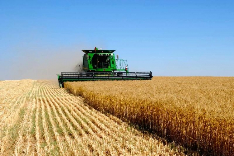 سولتۇستىك قازاقستان-قىتاي اراسىنداعى بىرلەسكەن جوبا