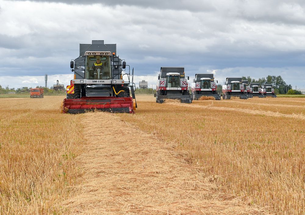 اگروسەكتور عىلىممەن ۇشتاسقاندا عانا داميدى