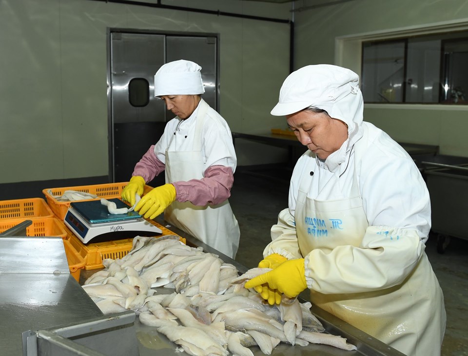 بالىق وڭدەيتىن كاسىپورىندار كوبەيىپ كەلەدى