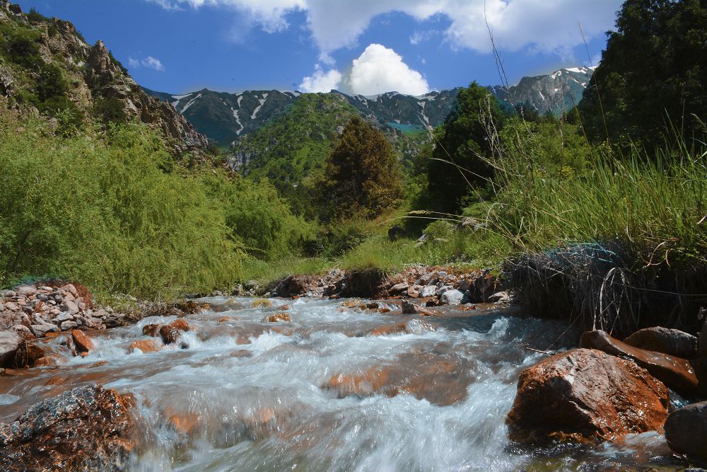 « ۇلى دالانىڭ تۇركىستانى» رەسپۋبليكالىق فوتوەكسپەديتسياسىنان فوتورەپورتاج