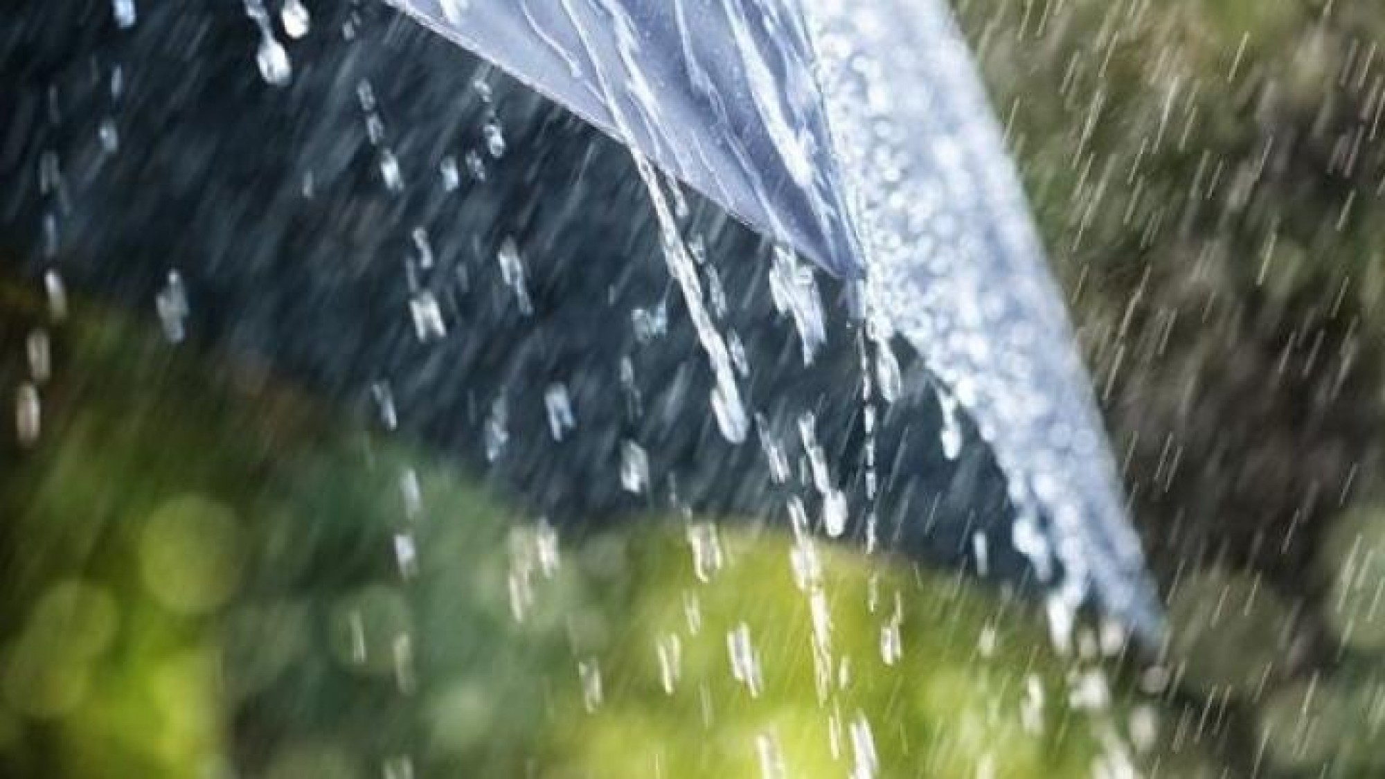 الداعى كۇندەرى ەلىمىزدىڭ باسىم بولىگىندە جاڭبىر جاۋادى