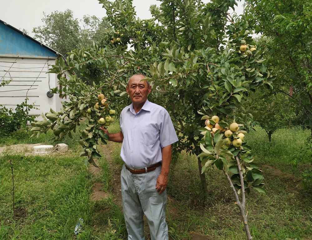 قۇمدا جايقالعان باق