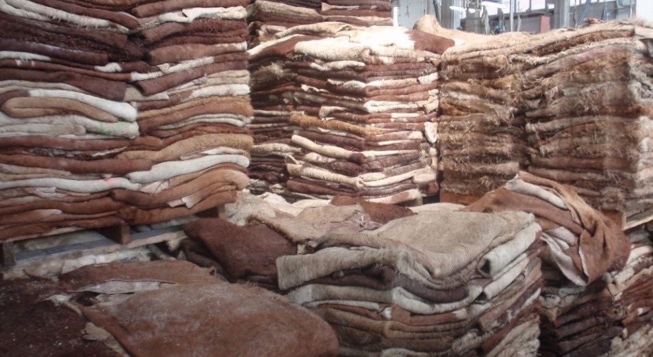 مال تەرىسى كادەگە اسپاي جاتىر