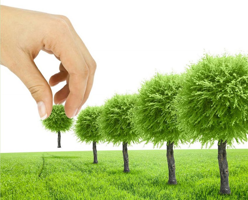 54 مىڭ اعاش اپاتتى جاعدايدا