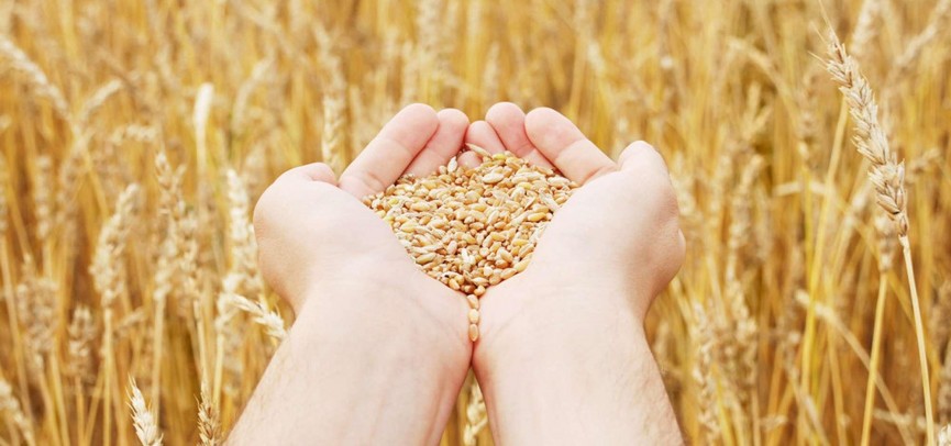 تاجىكستانعا ەكسپورت كولەمى ارتادى