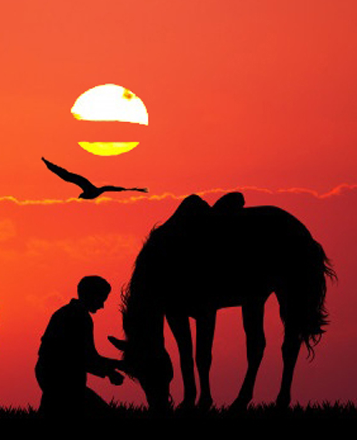 كوك بيەنىڭ كوز جاسى