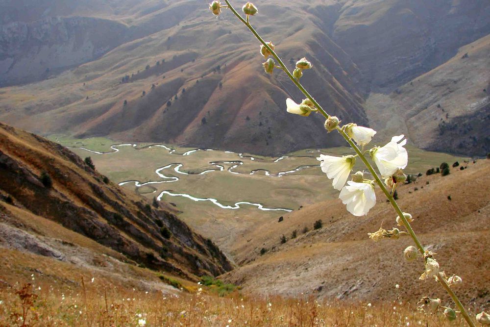 قاسقاسۋدىڭ قادىرى: شەتەل كومپانيالارى قىزىعىپ وتىرعان جوبا قاشان جۇزەگە اسادى؟