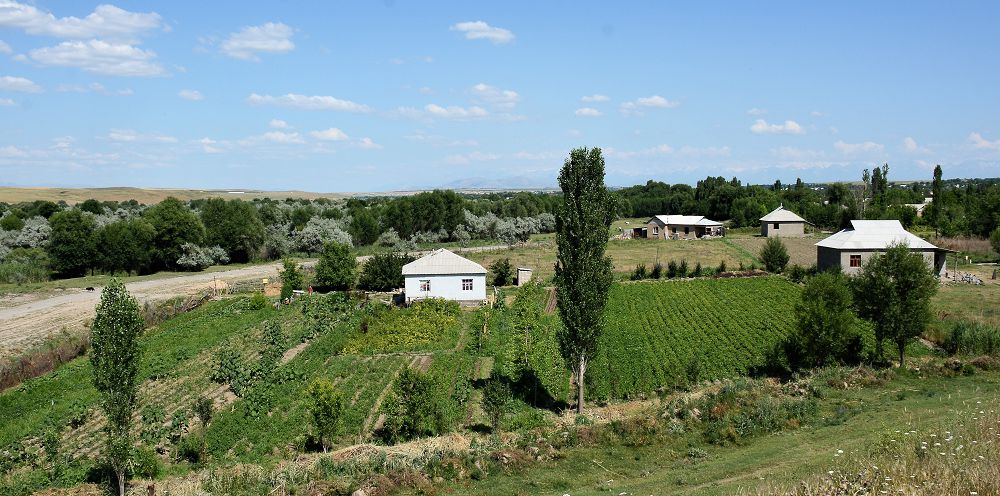 اۋىل الەۋەتىن  ارتتىرۋدىڭ امالدارى