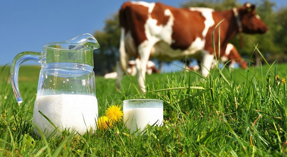 سولتۇستىك قازاقستاندا ءسۇت-شيكىزاتىنىڭ قاۋىپسىزدىگىن قامتاماسىز ەتۋ ماسەلەلەرى تالقىلاندى