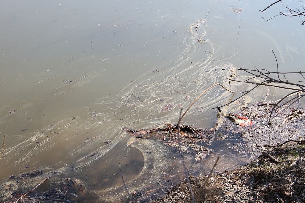 جايىق جاعاسىنداعى جاۋاپسىزدىق