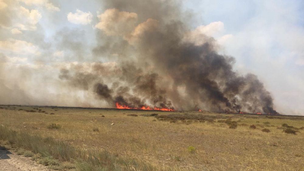 دالا ءورتى دامىل بەرمەي تۇر