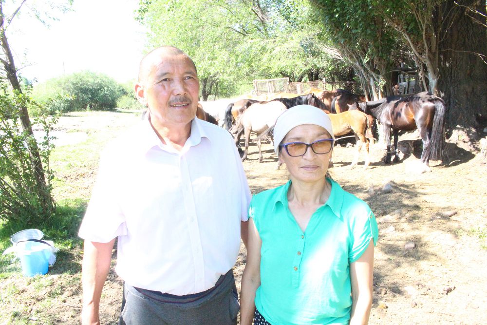 ساف تابيعاتتاعى ساۋمال تەراپياسى