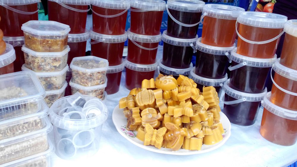 جاستارعا جىگەر بەرگەن «جاس كاسىپكەر» جوباسىنىڭ شاراپاتى مول