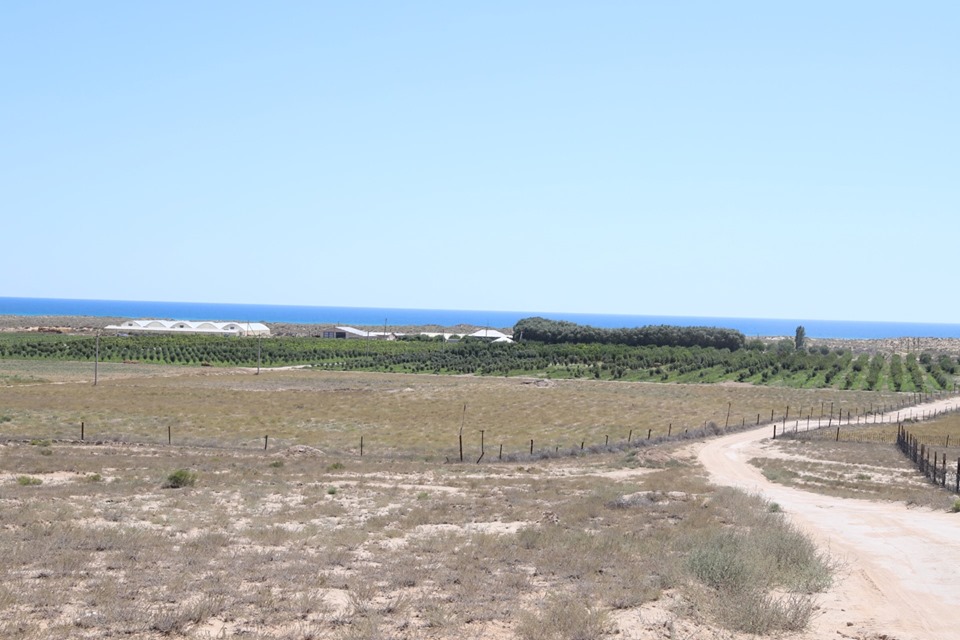 ماڭعىستاۋدا ايماق باسشىسى اۋىل شارۋاشىلىعى نىساندارىن ارالادى