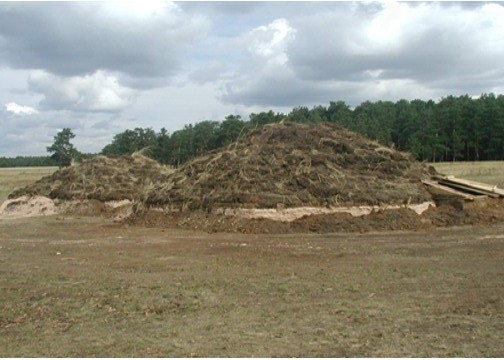 «بوتاي» مۋزەي-قورىعىنىڭ قۇرىلعانىنا ءبىر جىل تولدى