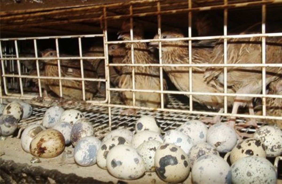 جەكە كاسىپتى باستاۋدىڭ جولى بار