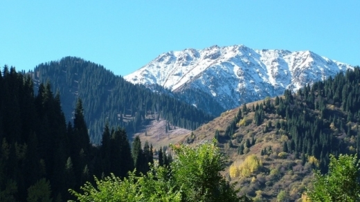 الماتى تاۋىندا اداسىپ كەتكەن ءتورت تۋريست قۇتقارىلدى