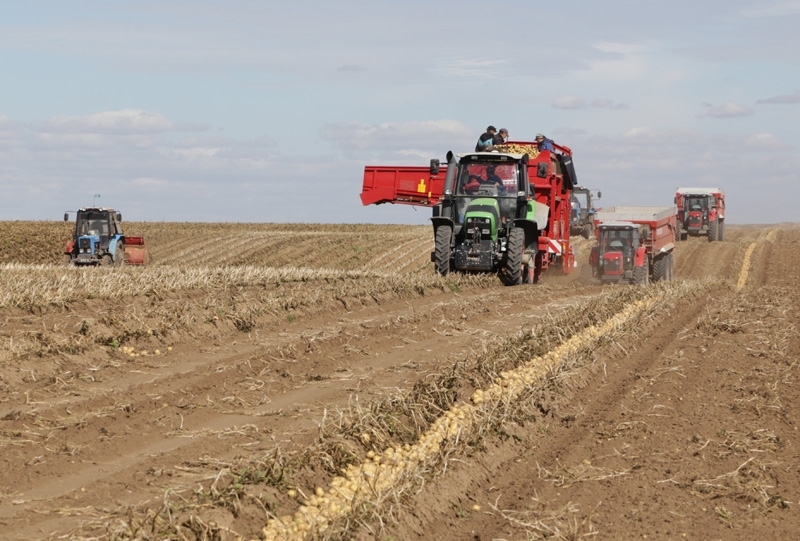 قاراعاندى وبلىسىندا استىق جيناۋ ناۋقانى باستالدى