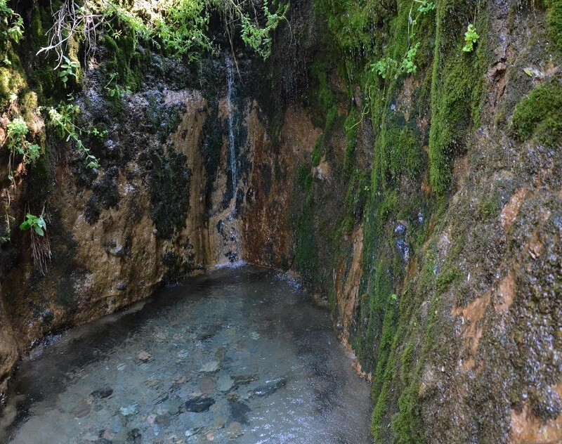 قاپالدىڭ تامشىبۇلاعى اعىلشىن ەلىنە قالاي تانىلدى؟