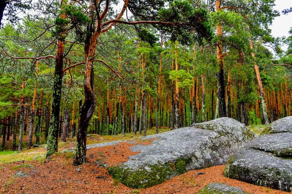 شالقار-يمانتاۋ كۋرورتتىق ايماعىنا 6 جىلدا 23 ملرد تەڭگە باعىتتالادى