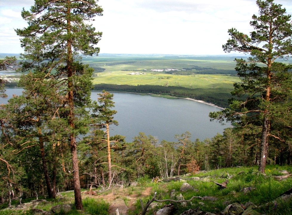 تاريحي تانىمعا تولى توپونيميكا