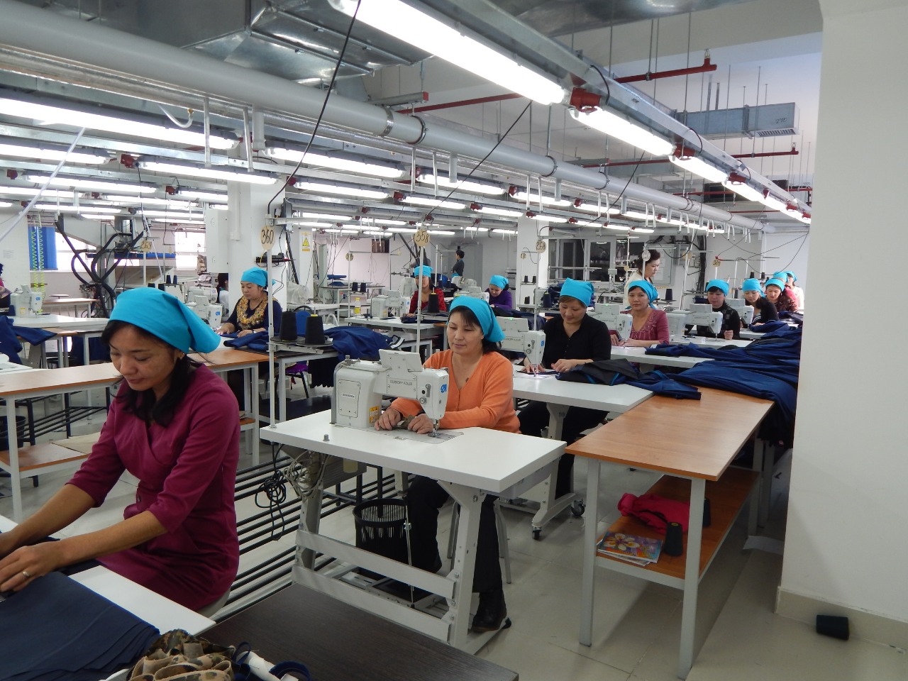 الماتىدا قوسىمشا ماماندىقتاردى يگەرۋ بويىنشا تەگىن كۋرستار وقىتىلا باستادى