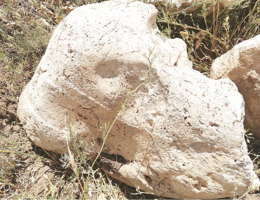 قوڭىرتاۋ مەتەوريتى