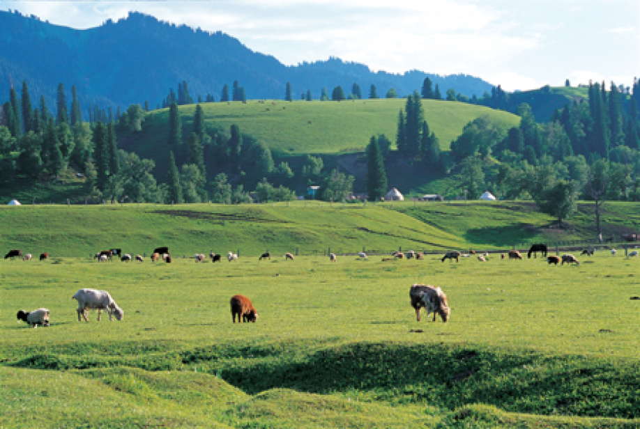 جايىلىمدىق جەرلەردىڭ جايى الاڭداتادى