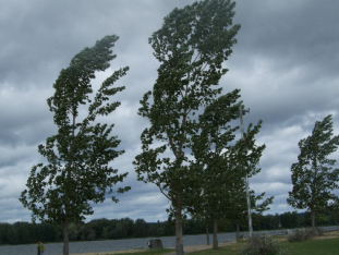 ەلىمىزدىڭ بىرنەشە وڭىرىندە قاتتى جەل تۇرادى