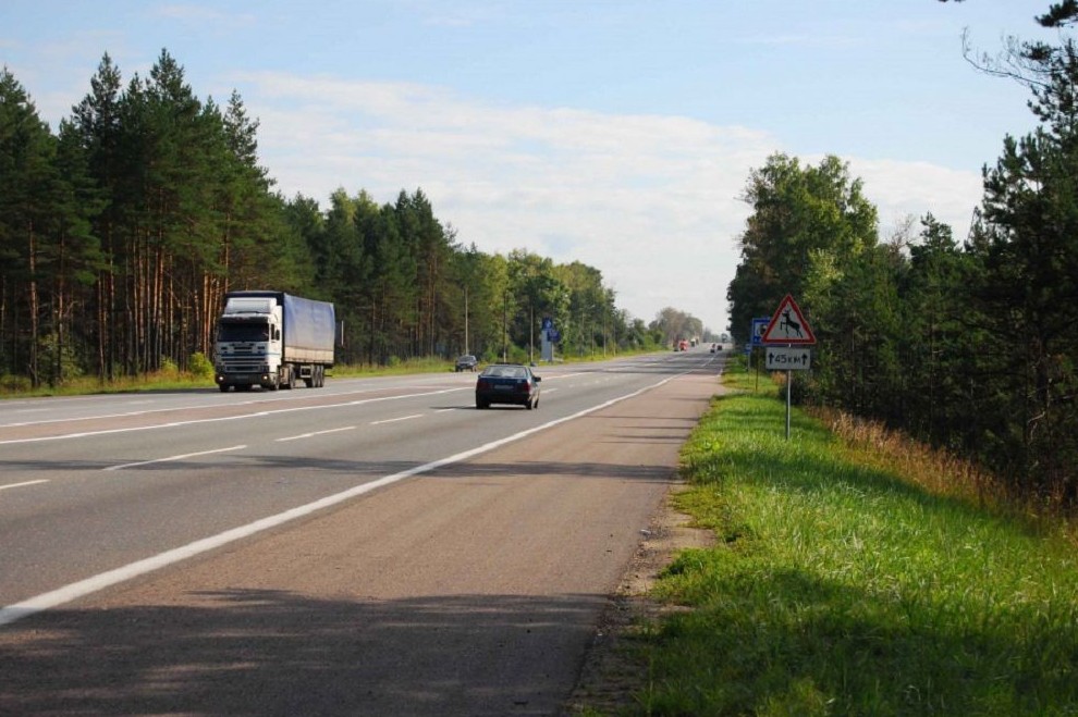 جوعارى جىلدامدىق جول اپاتىنا سەبەپشى