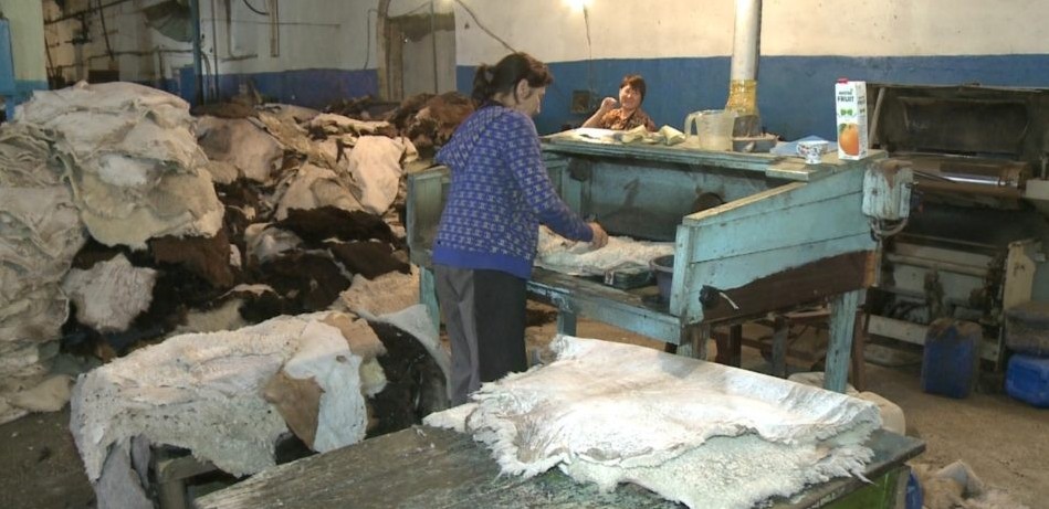 تەرى يلەپ, ءجۇن ءتۇتۋدىڭ شەبەرى ەدىك