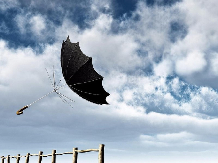 تۇركىستان مەن قىزىلوردا وبلىستارىندا كۇن كۇركىرەيدى