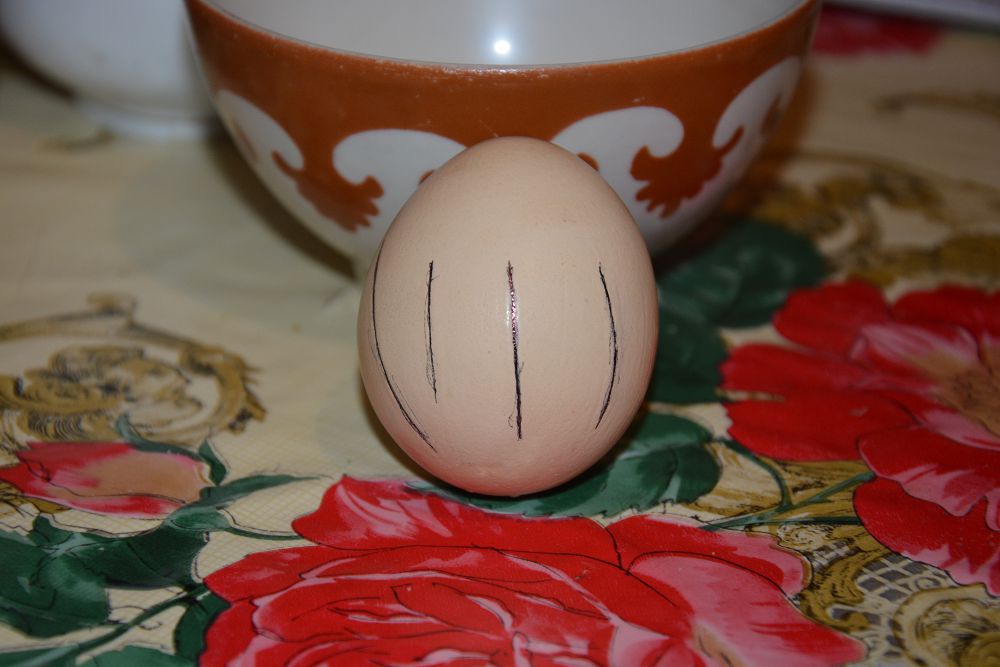 جازۋى بار  جۇمىرتقا