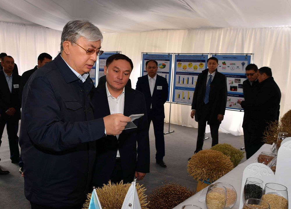 قاسىم-جومارت توقاەۆ «ايبات» جشس-ءنىڭ ەگىستىك القاپتارىن ارالاپ كوردى