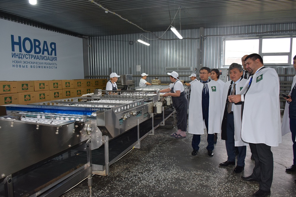 رۋدنىيدا نۇروتاندىقتار مەملەكەتتىك باعدارلامالاردىڭ ىسكە اسىرىلۋ بارىسىمەن تانىستى