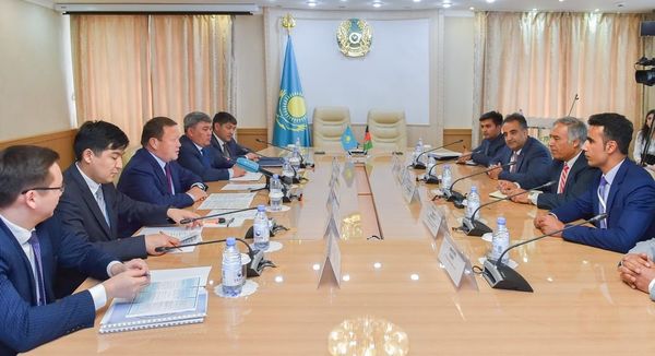 ايماقتىڭ ەكسپورتتىق مۇمكىندىگى ارتۋدا