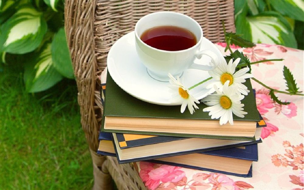 ەرلەر ەڭسەرەتىن تاقىرىپتى ايەل جازۋشى رومانعا ارقاۋ ەتتى