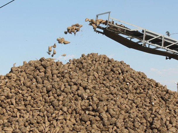 قانت زاۋىتتارى قىزىلشا قابىلداۋدى باستادى