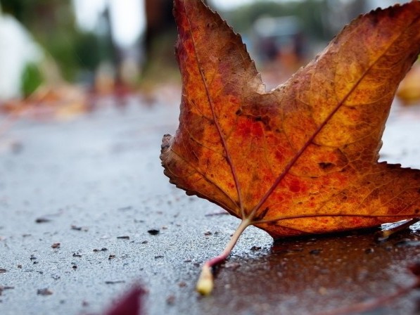 بۇگىن اۋا رايى قانداي بولادى؟