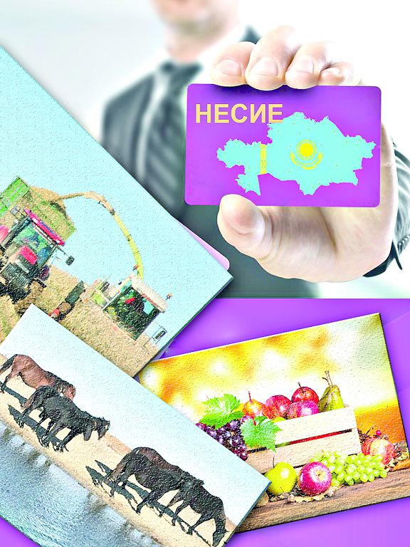 نەسيە سەرىكتەستىكتەرىن FinTech-كە باعىتتاساق ۇتىلمايمىز