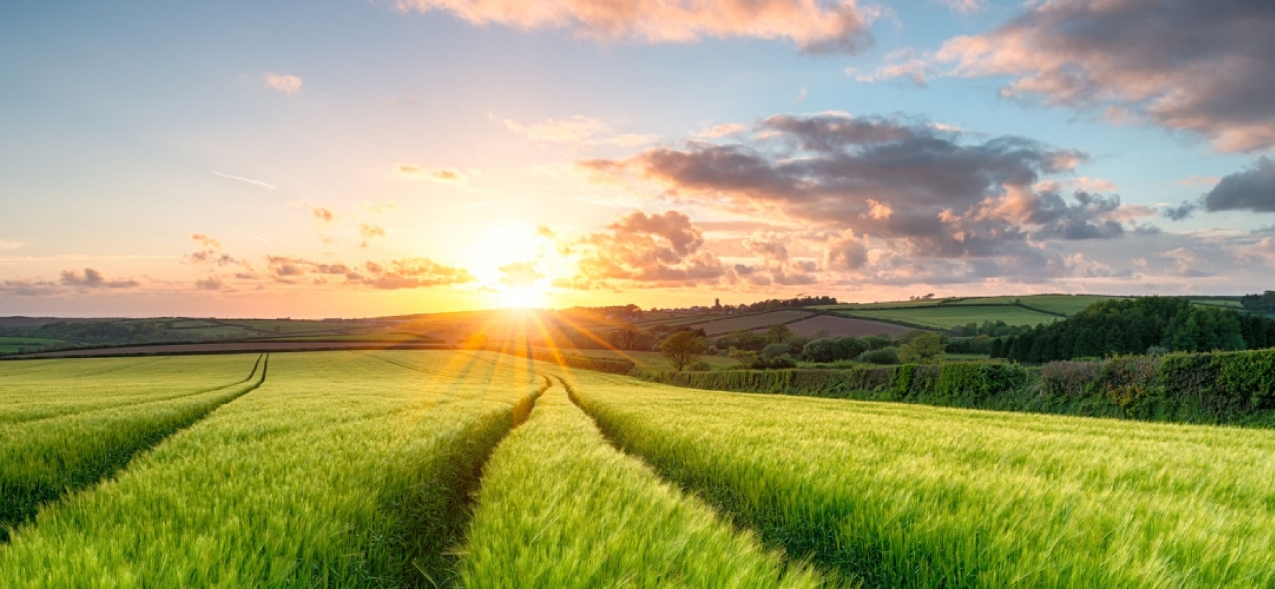 دۇرىس مىندەتتەر قويىلدى