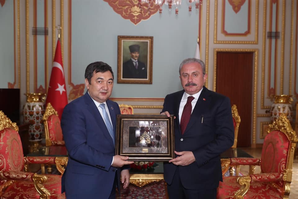 تۇركى اكادەمياسىنىڭ پرەزيدەنتى مۇستافا شەنتوپپەن كەزدەستى