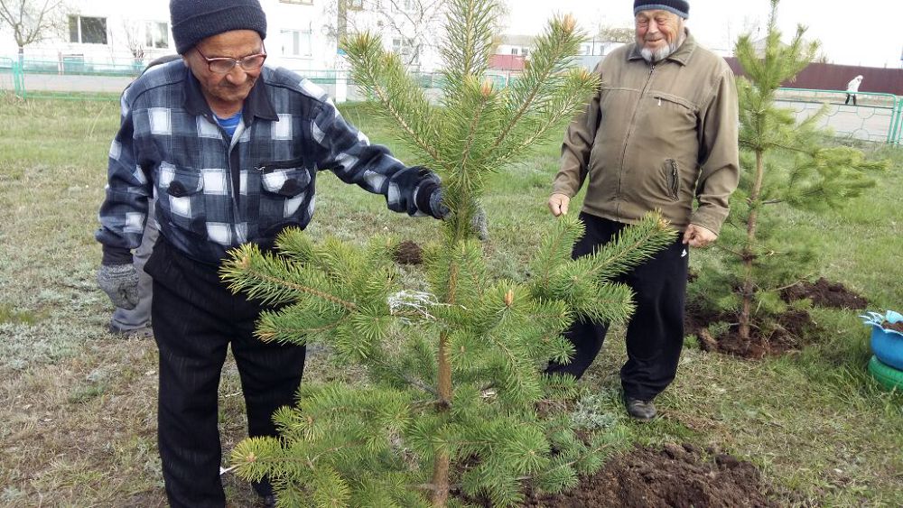 ۇلكەنگە بىزدە ىزەت بار