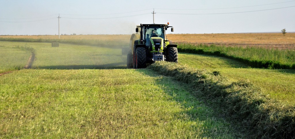 اۋىلدى وركەندەتۋدىڭ جاۋاپتى كەزەڭى تۋدى