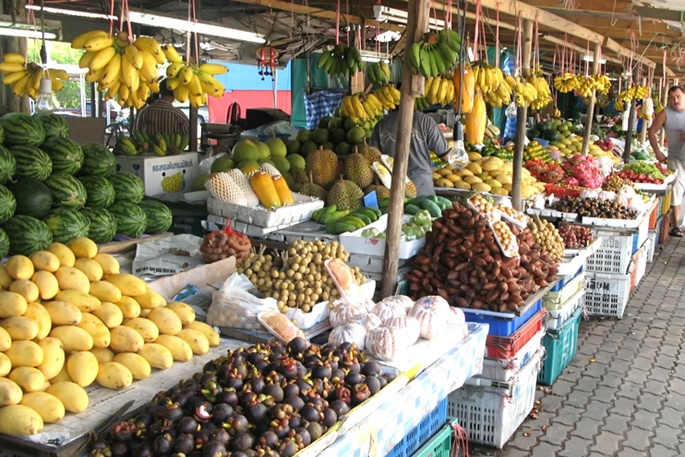 كوشە ساۋداسى – كاسىپكەرلەرگە كومەك